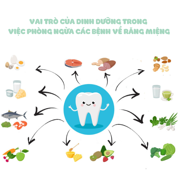 VAI TRÒ CỦA DINH DƯỠNG TRONG VIỆC PHÒNG NGỪA CÁC BỆNH VỀ RĂNG MIỆNG